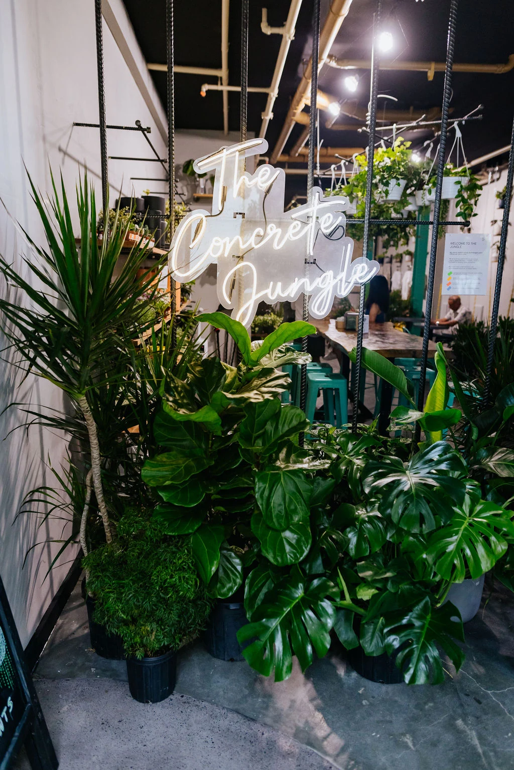 Indoor plants beneath The Concrete Jungle's neon sign